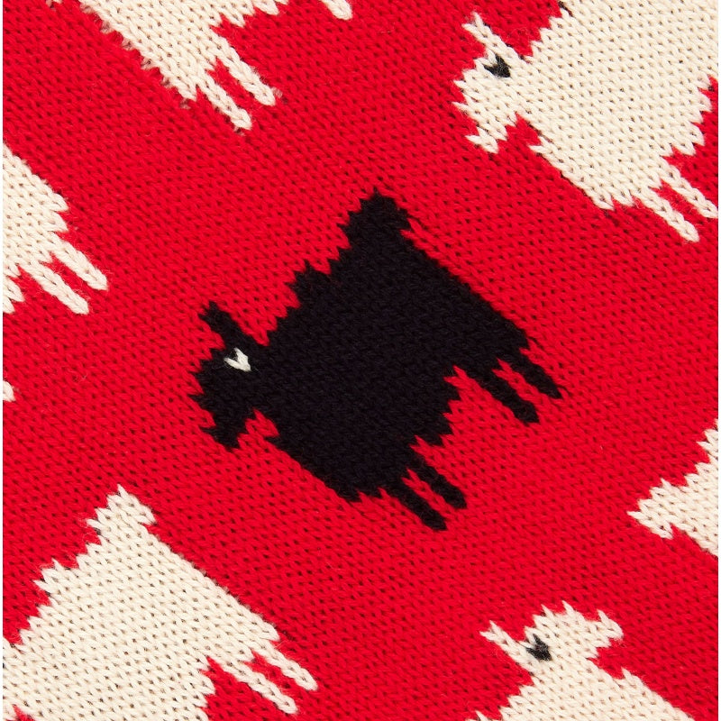 Custom Jacquard 100%Cotton Men Sweater - PG5844