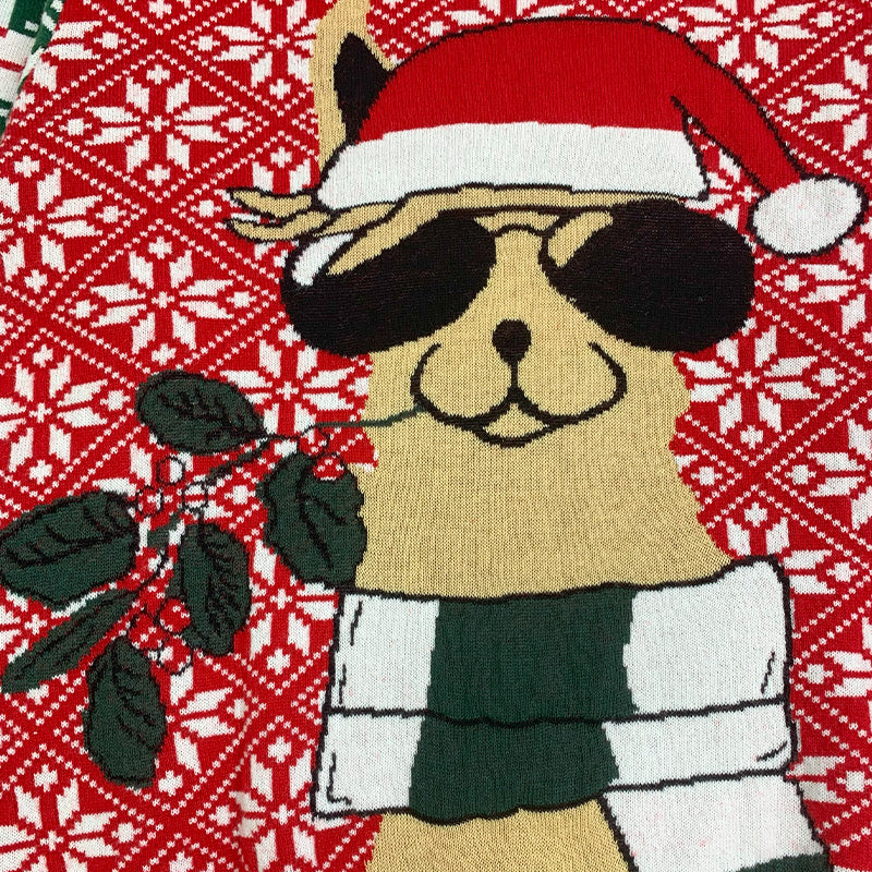 Custom Acrylic Christmas Sweater - PG72413