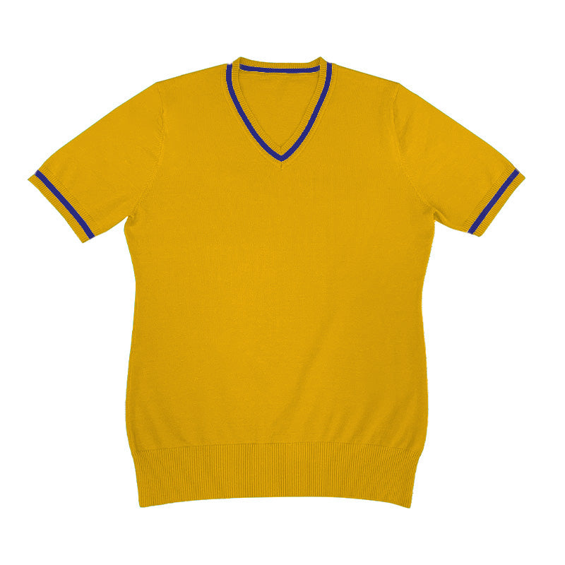 Custom Short Sleeves V-Neck Group Knitwear - PG8231