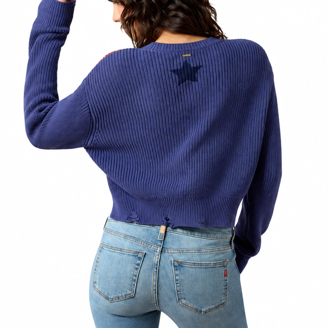 Back view of blue American flag sweater with plain knit body